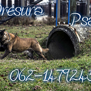 pizap.com14482529460911.jpg